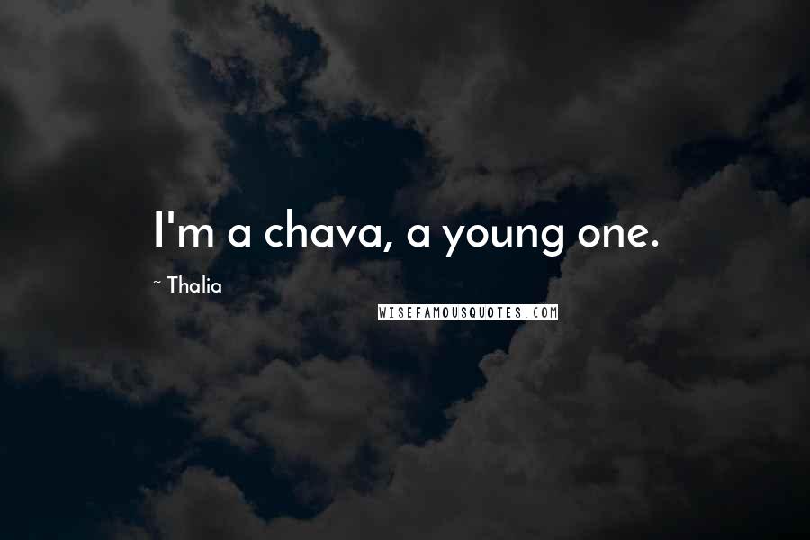 Thalia Quotes: I'm a chava, a young one.
