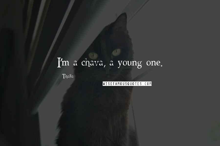Thalia Quotes: I'm a chava, a young one.