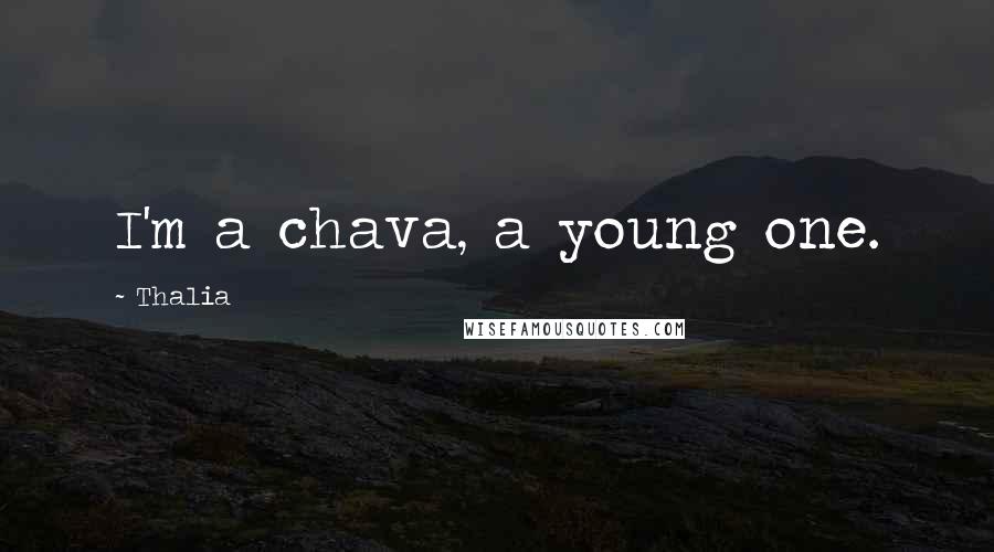 Thalia Quotes: I'm a chava, a young one.