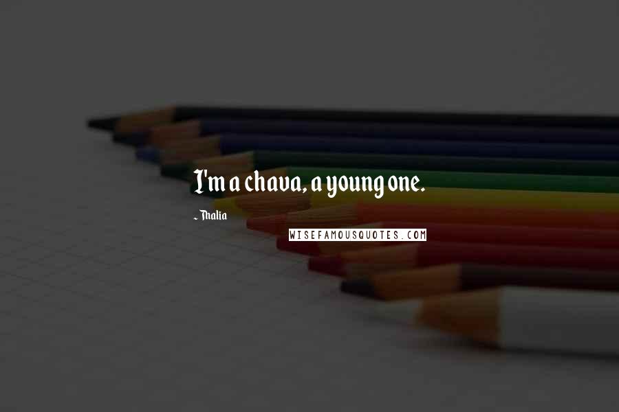 Thalia Quotes: I'm a chava, a young one.