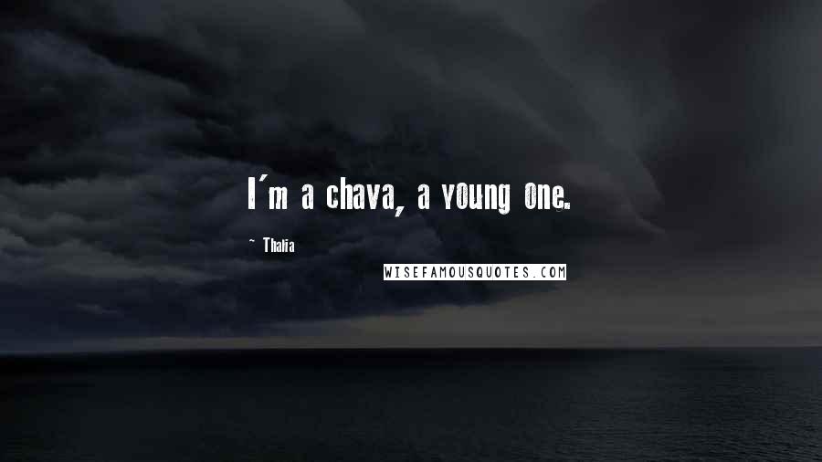 Thalia Quotes: I'm a chava, a young one.