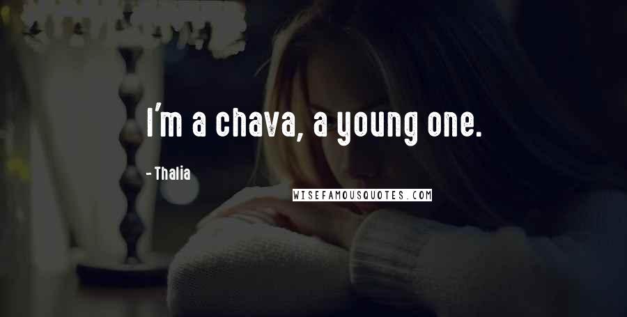 Thalia Quotes: I'm a chava, a young one.