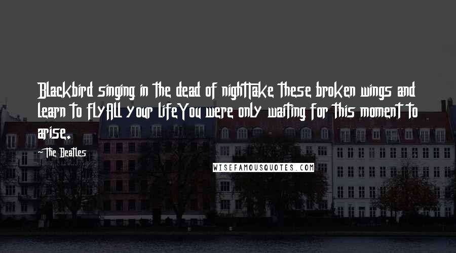 The Beatles Quotes: Blackbird singing in the dead of nightTake these broken wings and learn to flyAll your lifeYou were only waiting for this moment to arise.