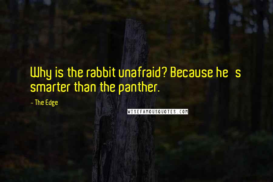 The Edge Quotes: Why is the rabbit unafraid? Because he's smarter than the panther.