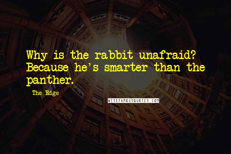 The Edge Quotes: Why is the rabbit unafraid? Because he's smarter than the panther.