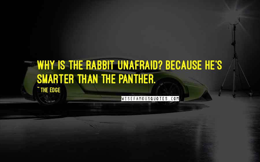 The Edge Quotes: Why is the rabbit unafraid? Because he's smarter than the panther.