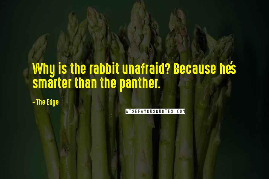 The Edge Quotes: Why is the rabbit unafraid? Because he's smarter than the panther.
