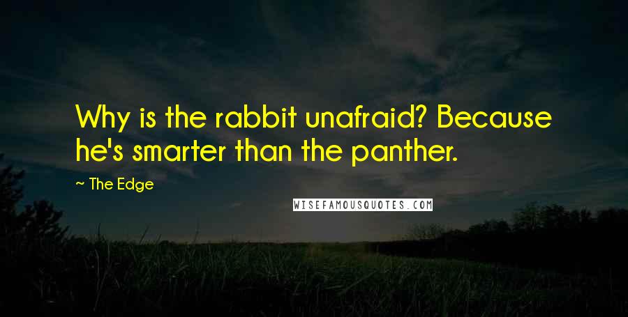 The Edge Quotes: Why is the rabbit unafraid? Because he's smarter than the panther.