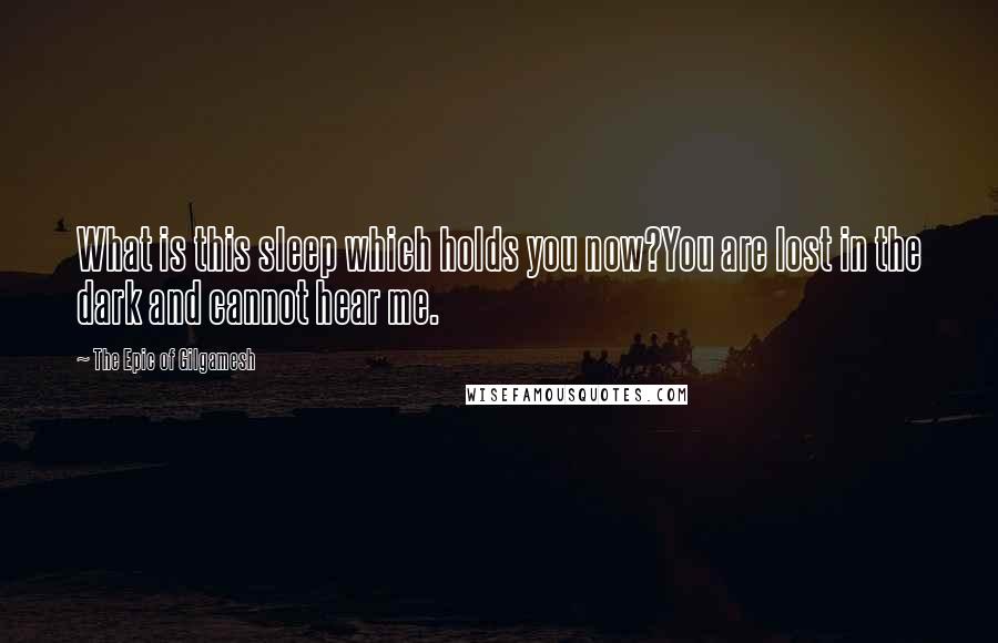 The Epic Of Gilgamesh Quotes: What is this sleep which holds you now?You are lost in the dark and cannot hear me.