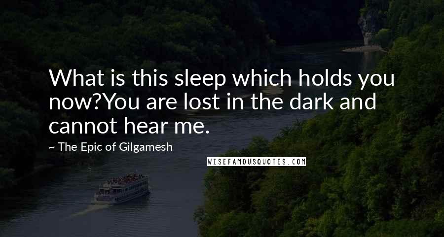 The Epic Of Gilgamesh Quotes: What is this sleep which holds you now?You are lost in the dark and cannot hear me.