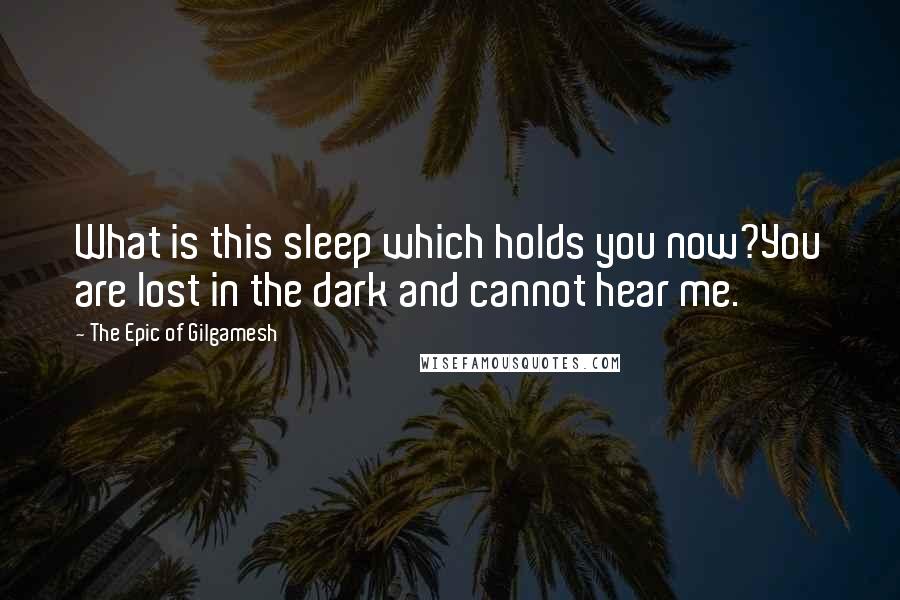 The Epic Of Gilgamesh Quotes: What is this sleep which holds you now?You are lost in the dark and cannot hear me.