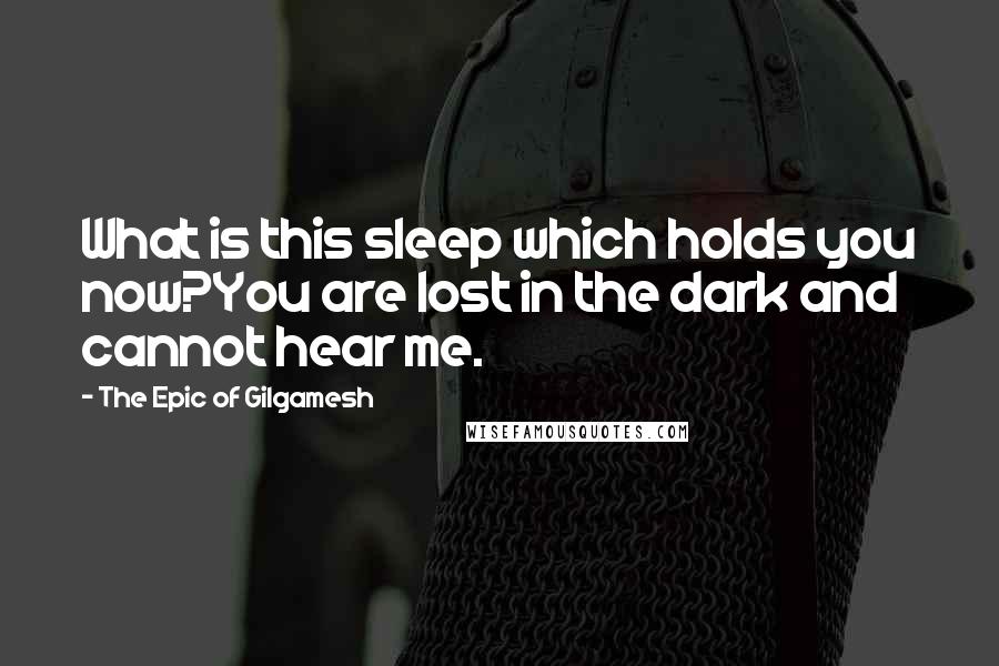 The Epic Of Gilgamesh Quotes: What is this sleep which holds you now?You are lost in the dark and cannot hear me.