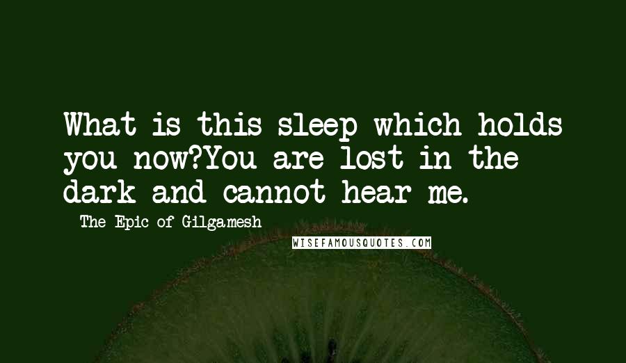 The Epic Of Gilgamesh Quotes: What is this sleep which holds you now?You are lost in the dark and cannot hear me.