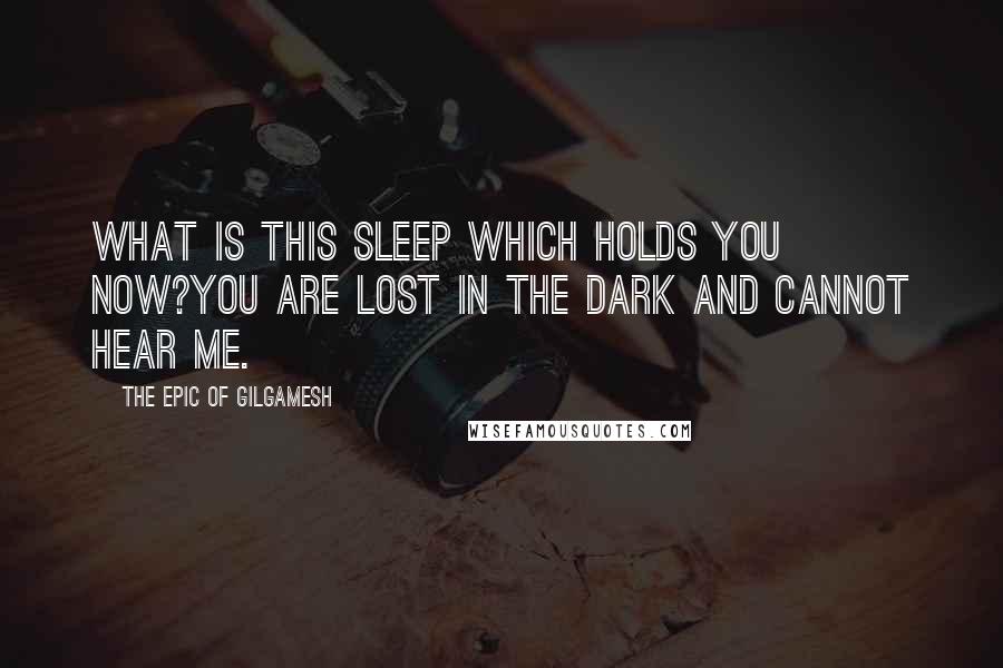 The Epic Of Gilgamesh Quotes: What is this sleep which holds you now?You are lost in the dark and cannot hear me.