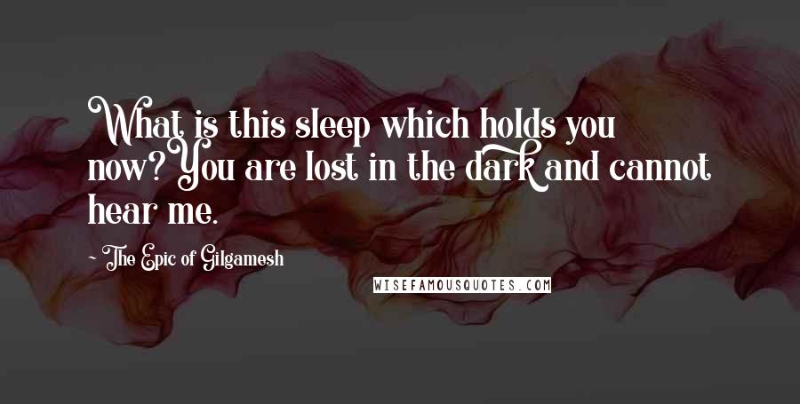 The Epic Of Gilgamesh Quotes: What is this sleep which holds you now?You are lost in the dark and cannot hear me.