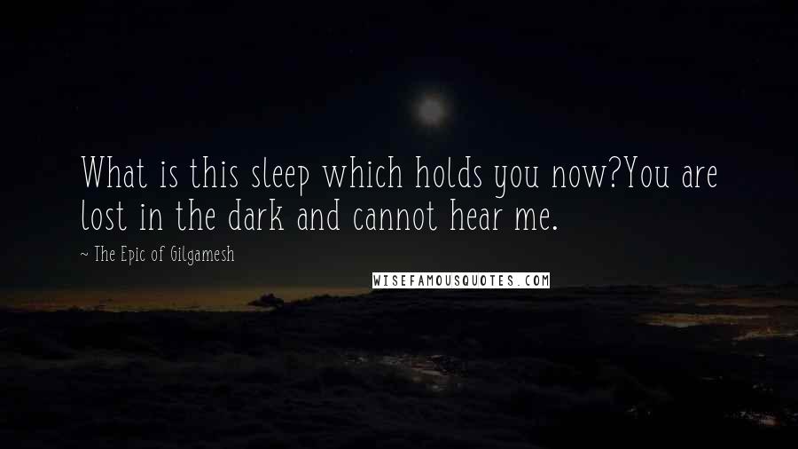 The Epic Of Gilgamesh Quotes: What is this sleep which holds you now?You are lost in the dark and cannot hear me.