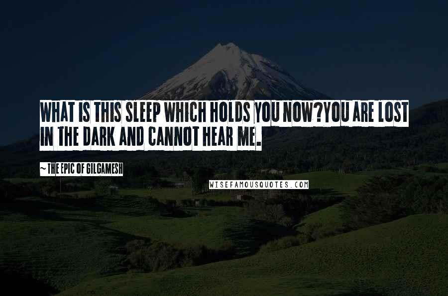 The Epic Of Gilgamesh Quotes: What is this sleep which holds you now?You are lost in the dark and cannot hear me.