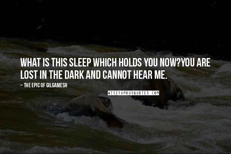 The Epic Of Gilgamesh Quotes: What is this sleep which holds you now?You are lost in the dark and cannot hear me.