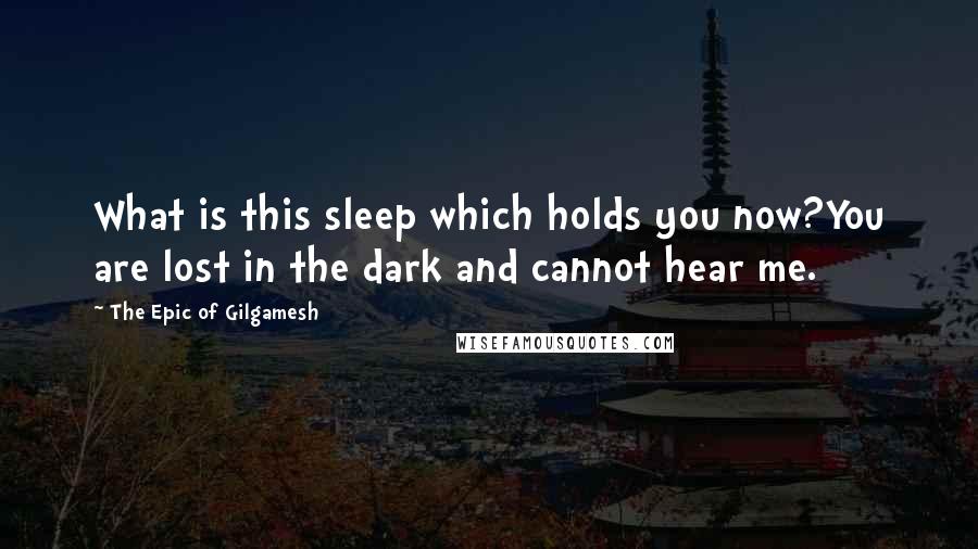 The Epic Of Gilgamesh Quotes: What is this sleep which holds you now?You are lost in the dark and cannot hear me.