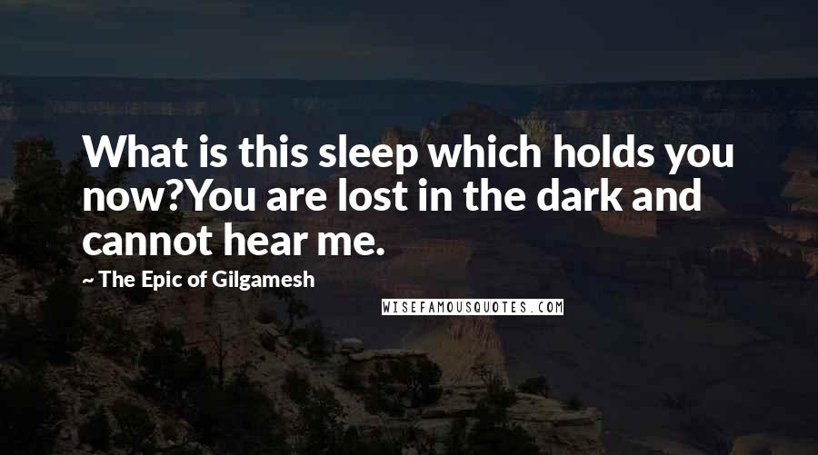 The Epic Of Gilgamesh Quotes: What is this sleep which holds you now?You are lost in the dark and cannot hear me.