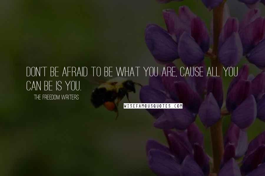 The Freedom Writers Quotes: Don't be afraid to be what you are, cause all you can be is you.