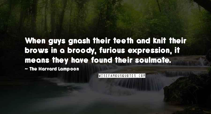 The Harvard Lampoon Quotes: When guys gnash their teeth and knit their brows in a broody, furious expression, it means they have found their soulmate.