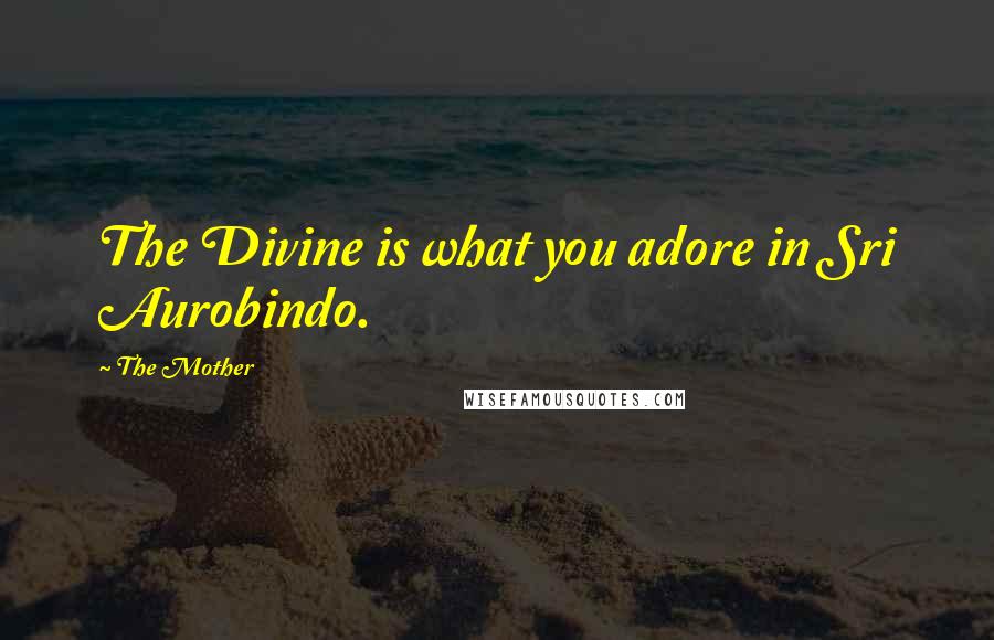 The Mother Quotes: The Divine is what you adore in Sri Aurobindo.