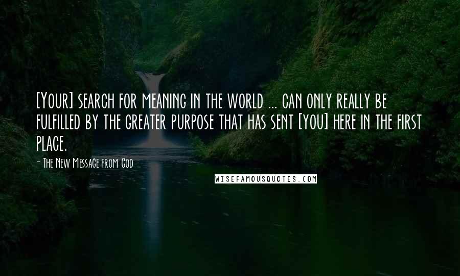 The New Message From God Quotes: [Your] search for meaning in the world ... can only really be fulfilled by the greater purpose that has sent [you] here in the first place.