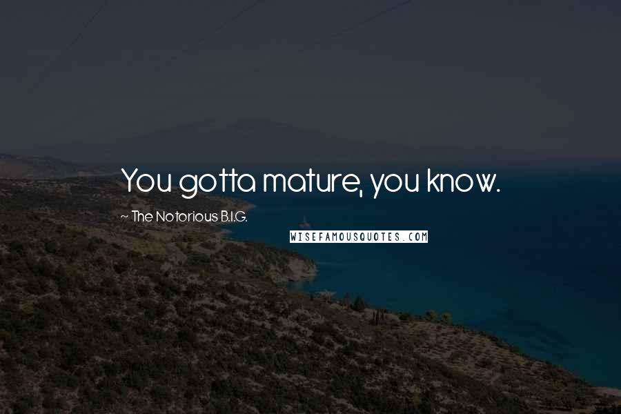 The Notorious B.I.G. Quotes: You gotta mature, you know.