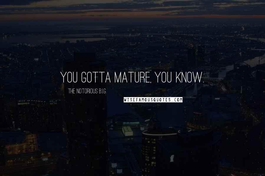 The Notorious B.I.G. Quotes: You gotta mature, you know.