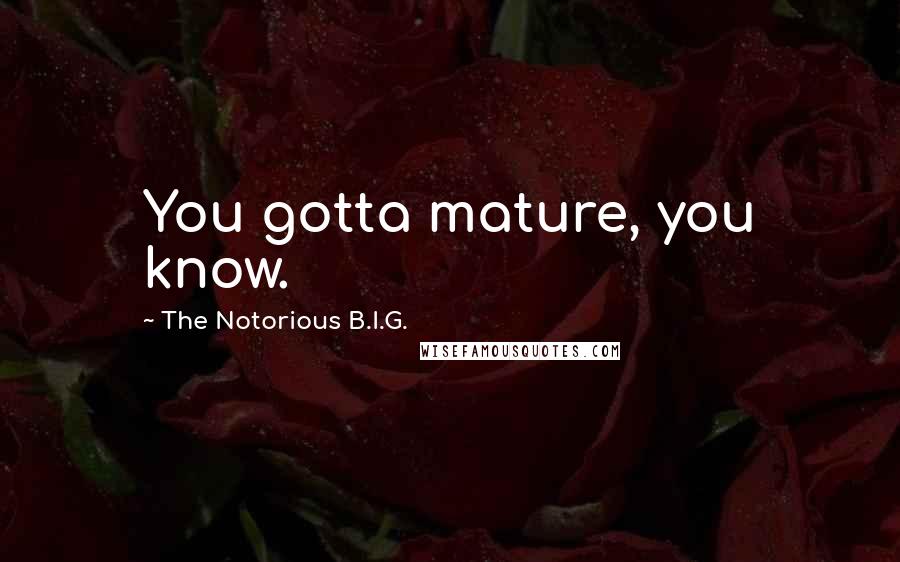 The Notorious B.I.G. Quotes: You gotta mature, you know.