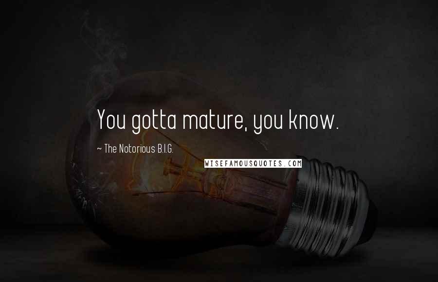 The Notorious B.I.G. Quotes: You gotta mature, you know.