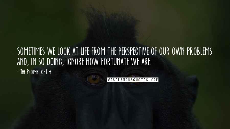 The Prophet Of Life Quotes: Sometimes we look at life from the perspective of our own problems and, in so doing, ignore how fortunate we are.