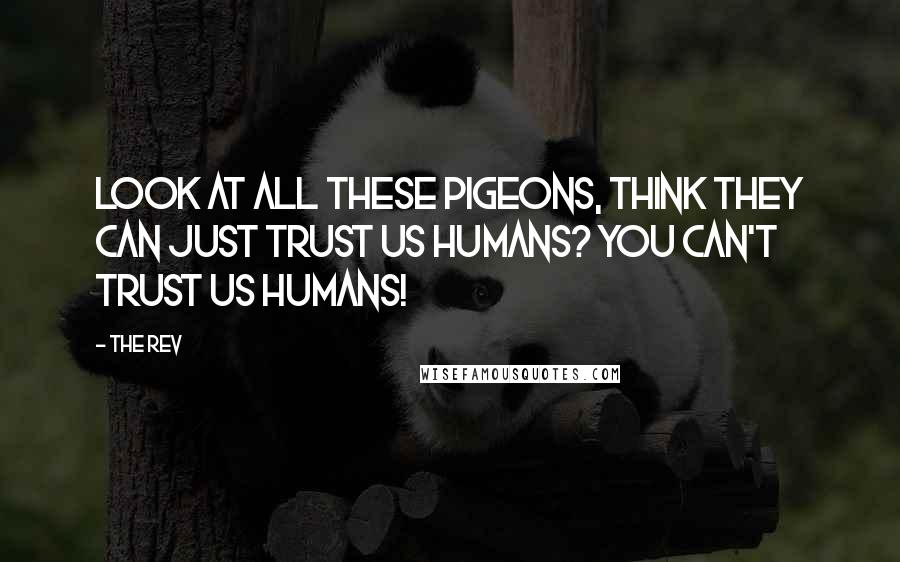 The Rev Quotes: Look at all these pigeons, think they can just trust us humans? You can't trust us humans!