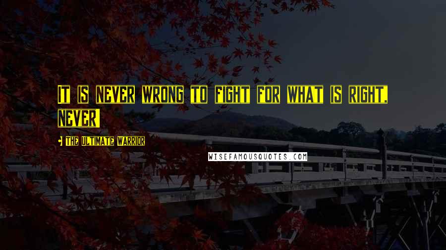 The Ultimate Warrior Quotes: It is never wrong to fight for what is right, never!