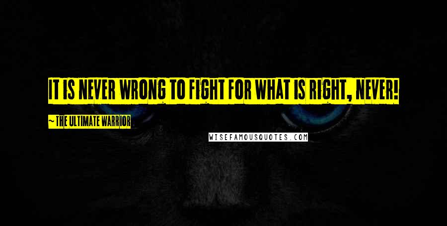 The Ultimate Warrior Quotes: It is never wrong to fight for what is right, never!