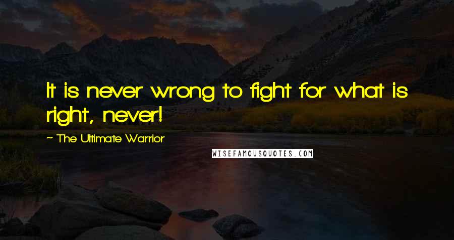The Ultimate Warrior Quotes: It is never wrong to fight for what is right, never!