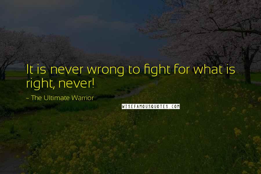 The Ultimate Warrior Quotes: It is never wrong to fight for what is right, never!