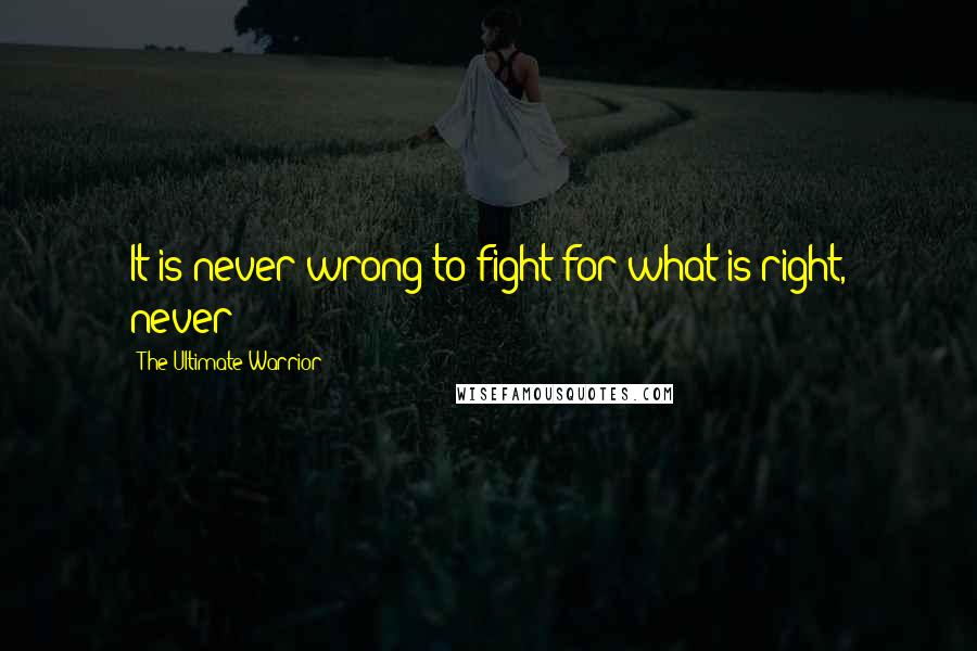 The Ultimate Warrior Quotes: It is never wrong to fight for what is right, never!