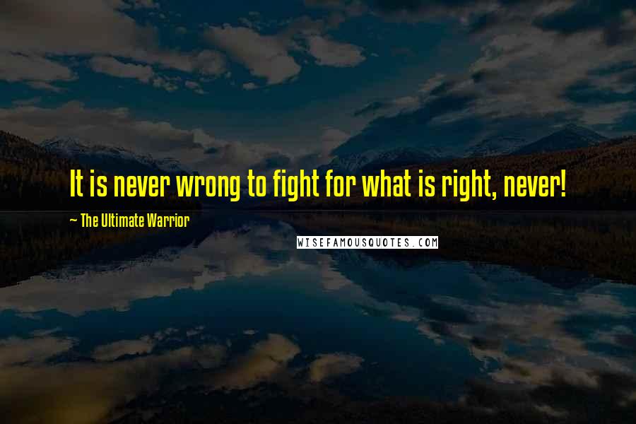 The Ultimate Warrior Quotes: It is never wrong to fight for what is right, never!