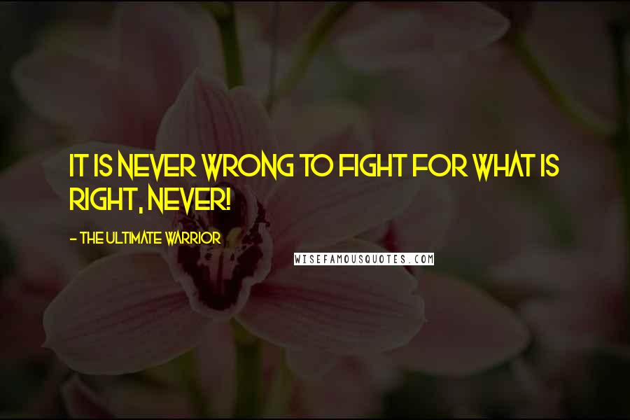 The Ultimate Warrior Quotes: It is never wrong to fight for what is right, never!