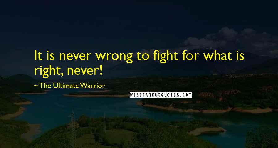 The Ultimate Warrior Quotes: It is never wrong to fight for what is right, never!