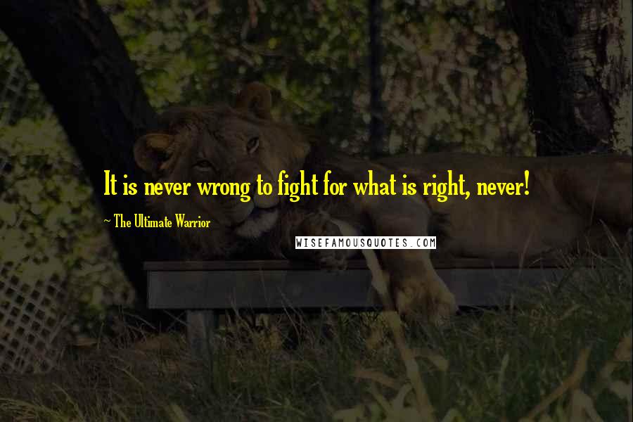 The Ultimate Warrior Quotes: It is never wrong to fight for what is right, never!