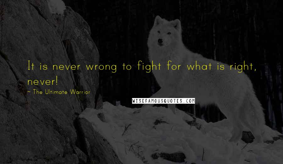 The Ultimate Warrior Quotes: It is never wrong to fight for what is right, never!