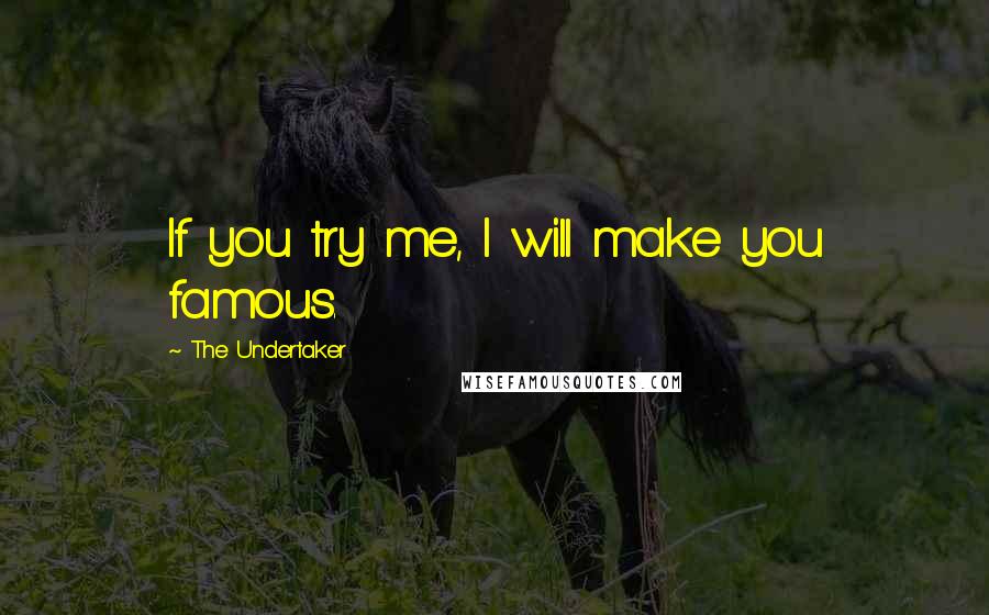 The Undertaker Quotes: If you try me, I will make you famous.