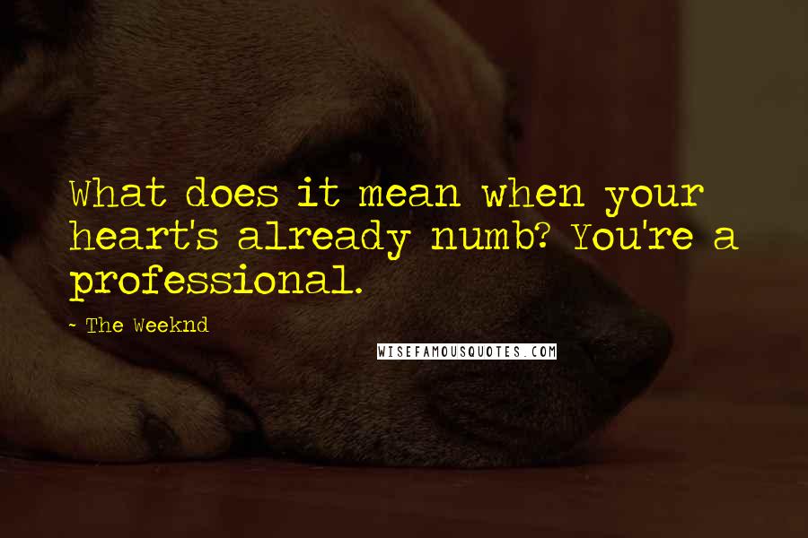 The Weeknd Quotes: What does it mean when your heart's already numb? You're a professional.