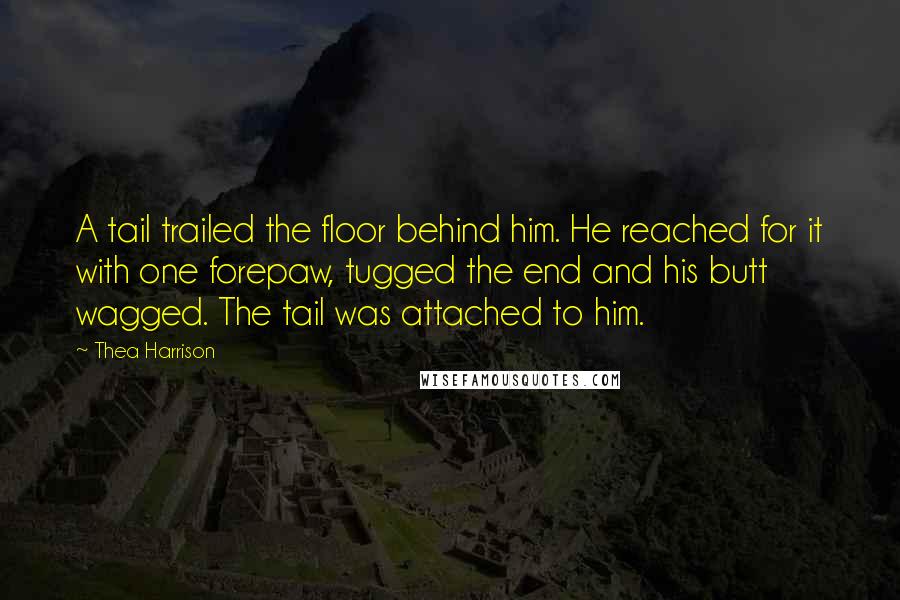 Thea Harrison Quotes: A tail trailed the floor behind him. He reached for it with one forepaw, tugged the end and his butt wagged. The tail was attached to him.