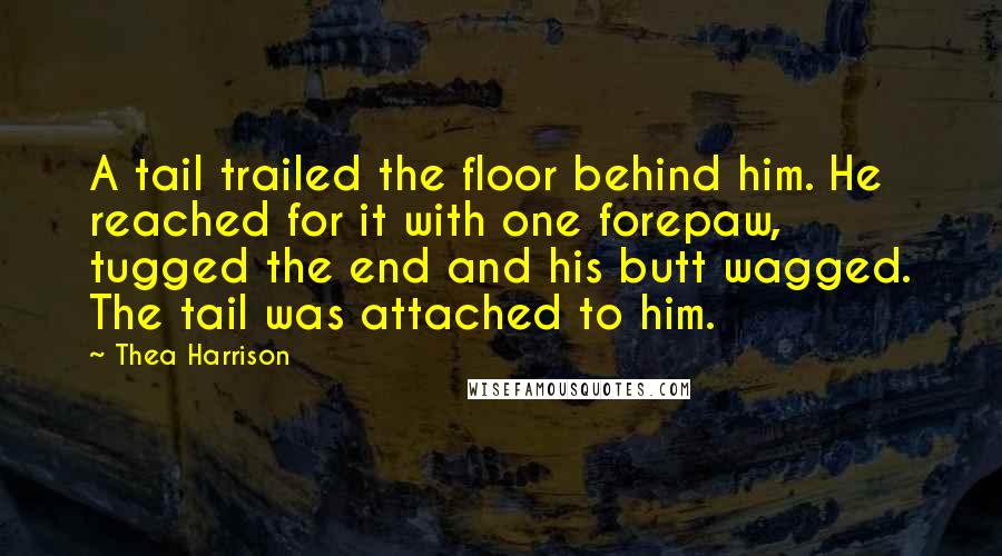 Thea Harrison Quotes: A tail trailed the floor behind him. He reached for it with one forepaw, tugged the end and his butt wagged. The tail was attached to him.