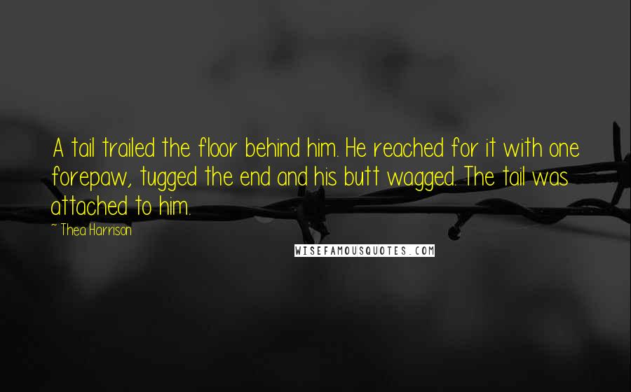 Thea Harrison Quotes: A tail trailed the floor behind him. He reached for it with one forepaw, tugged the end and his butt wagged. The tail was attached to him.