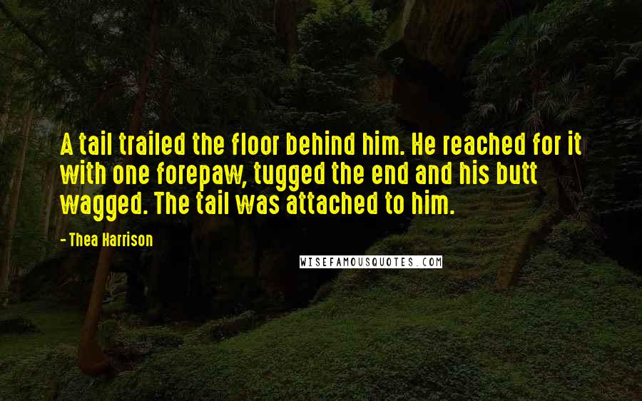 Thea Harrison Quotes: A tail trailed the floor behind him. He reached for it with one forepaw, tugged the end and his butt wagged. The tail was attached to him.